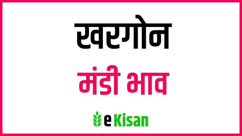 khargone mandi bhav