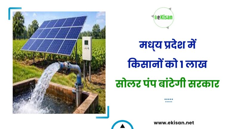 मध्‍य प्रदेश में किसानों को 1 लाख सोलर पंप बांटेगी सरकार