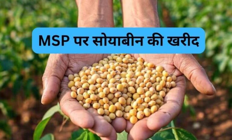 MP में सोयाबीन भावांतर पंजीयन 3 अक्टूबर से, 17 अक्टूबर तक आवेदन