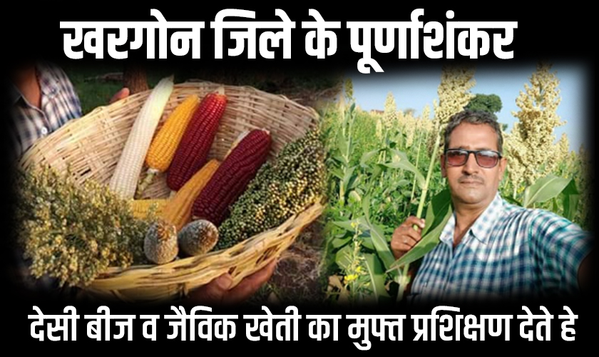 organic farmer story purnashankar barche khargone