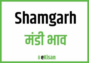 Shamgarh Mandi Bhav