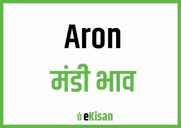 Aron Mandi Bhav