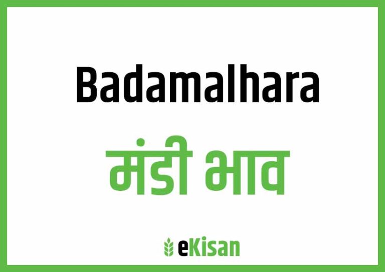 Bada Malhara Mandi Bhav