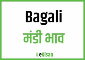 Bagali Mandi Bhav