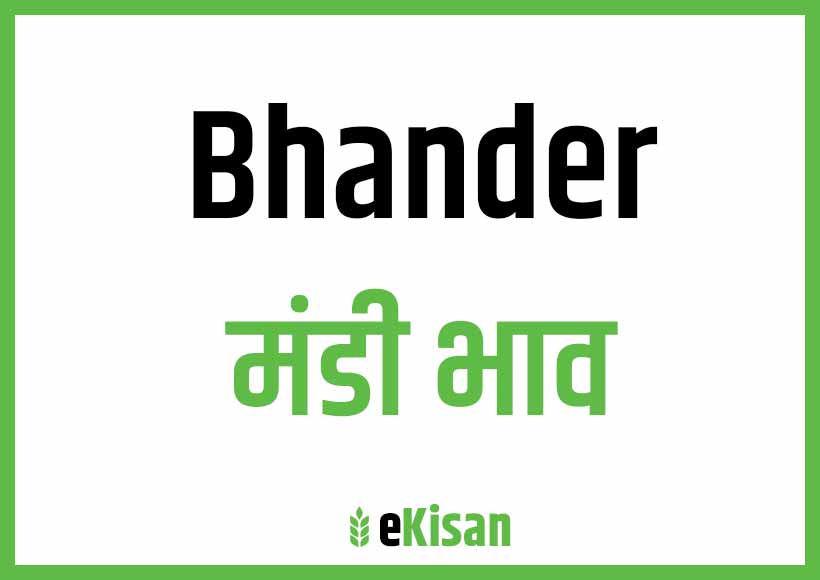 Bhander Mandi Bhav