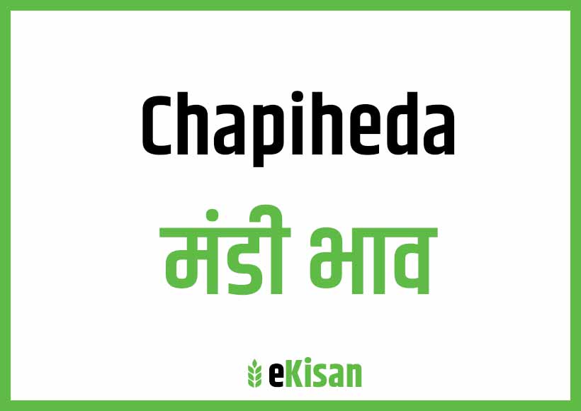 Chhapiheda Mandi Bhav