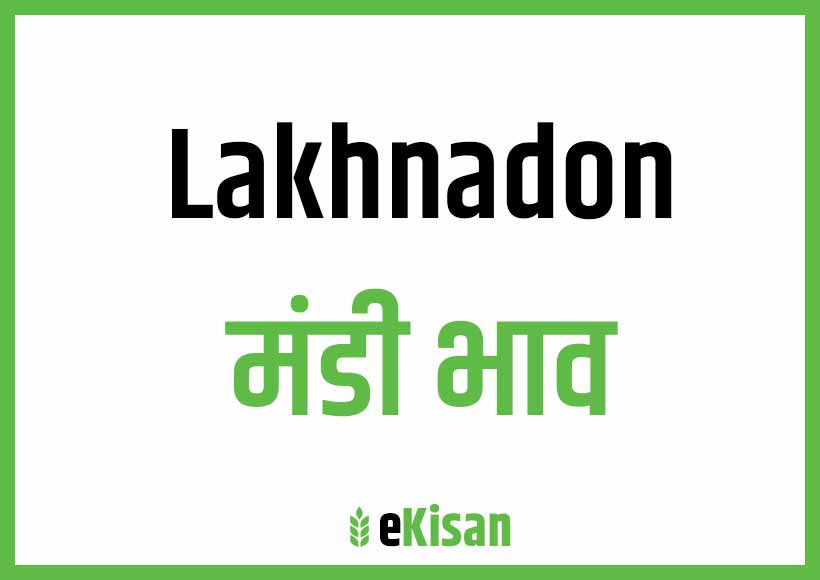 Lakhandon Mandi Bhav