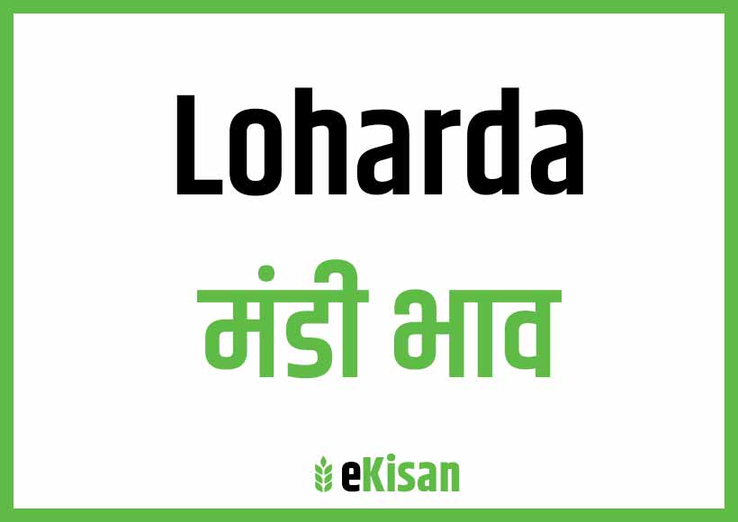 Loharda Mandi Bhav