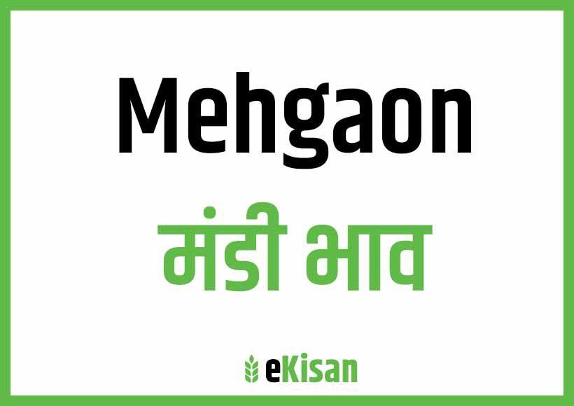Mehgaon Mandi Bhav