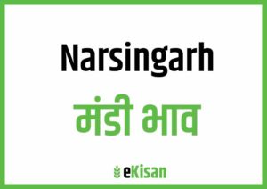 Narsinghgarh Mandi Bhav
