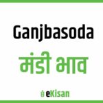 Ganjbasoda Mandi Bhav