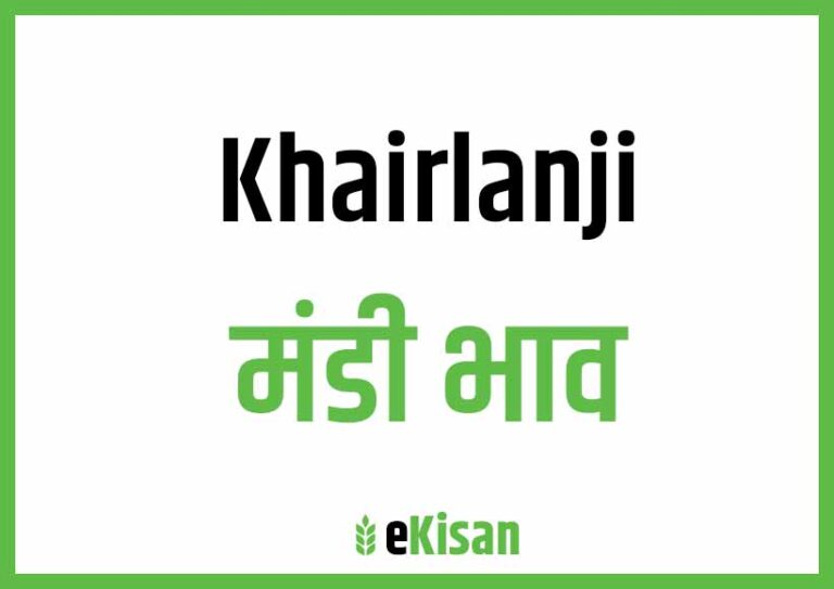 Khairlanji Mandi Bhav खैरलांजी मंडी भाव