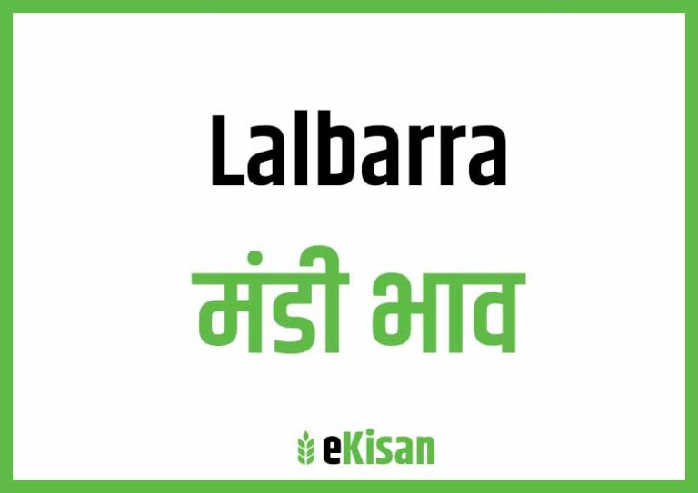 Lalbarra Mandi Bhav लालबर्रा मंडी भाव
