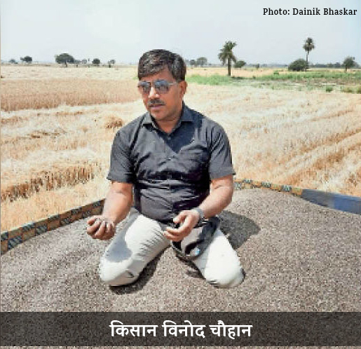 black wheat farmer vinod chouhan dhar