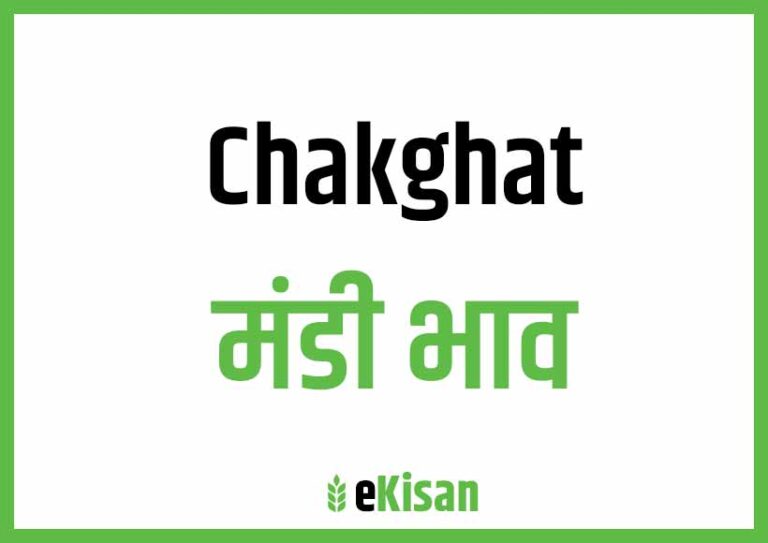 Chakghat Mandi Bhav चाकघाट मंडी भाव