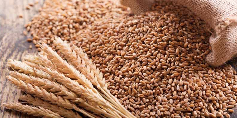 wheat export in india is 1 thousand crore