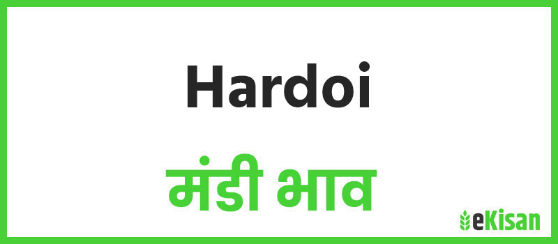 Hardoi mandi bhav