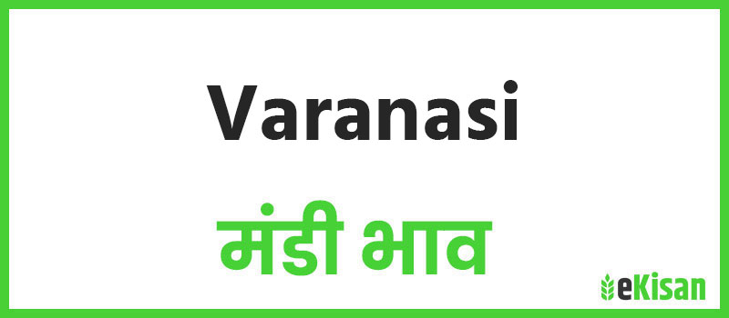 Varanasi mandi bhav