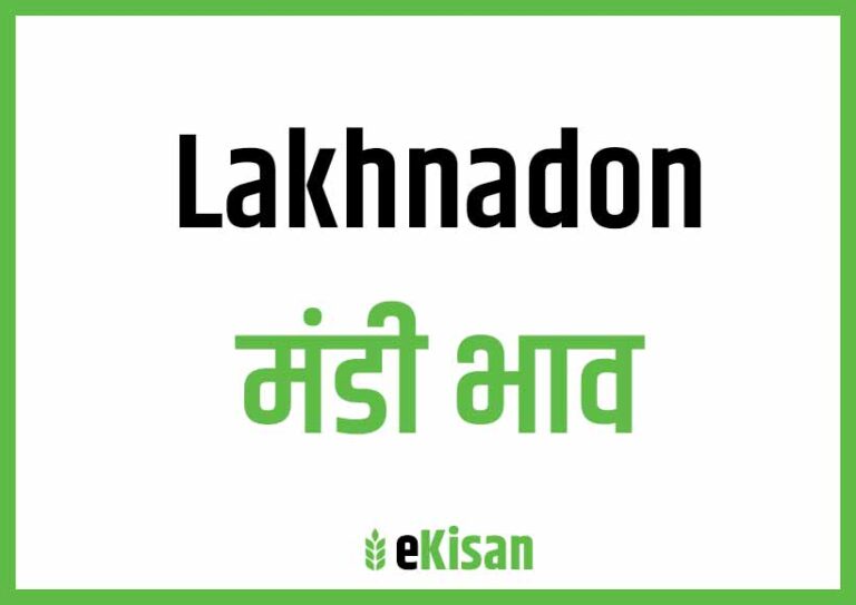 Lakhandon Mandi Bhav लखनदोंन मंडी भाव