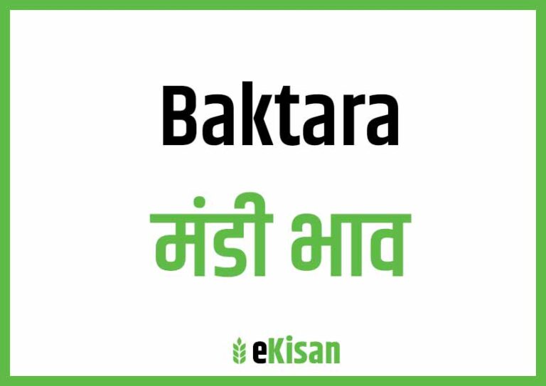 Baktara Mandi Bhav बकतारा मंडी भाव