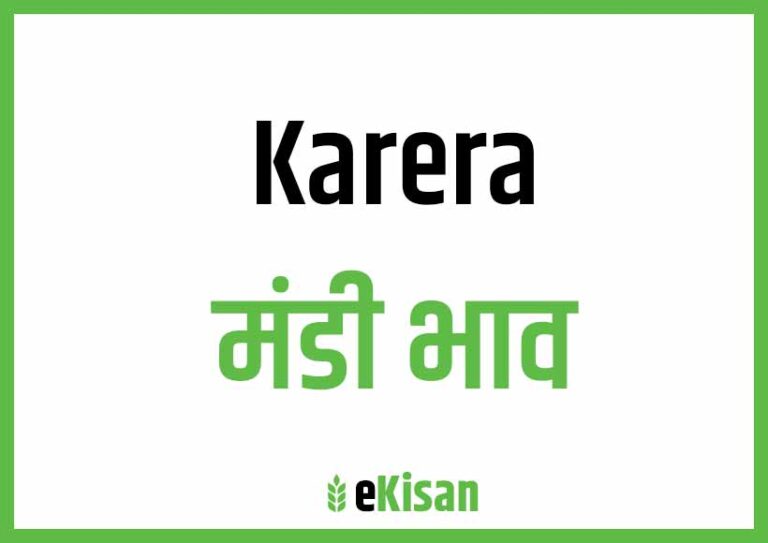 Karera Mandi Bhav करेरा मंडी भाव
