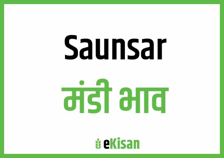 Saunsar Mandi Bhav सौसर मंडी भाव
