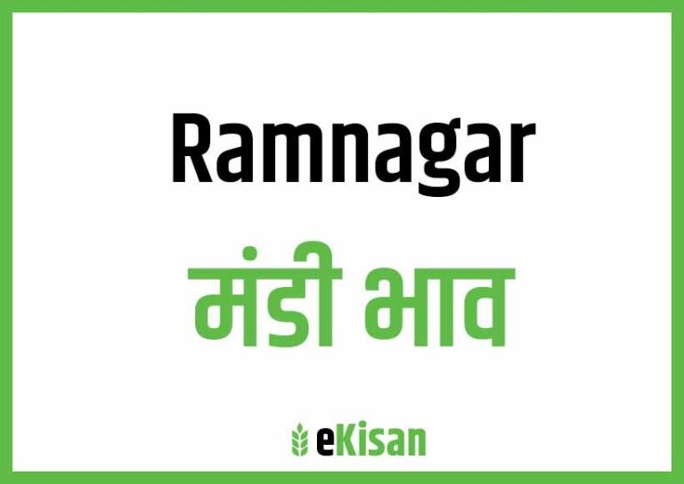 Ramnagar Mandi Bhav रामनगर मंडी भाव