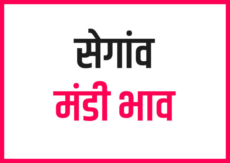 Segaon Mandi Bhav सेगांव मंडी भाव