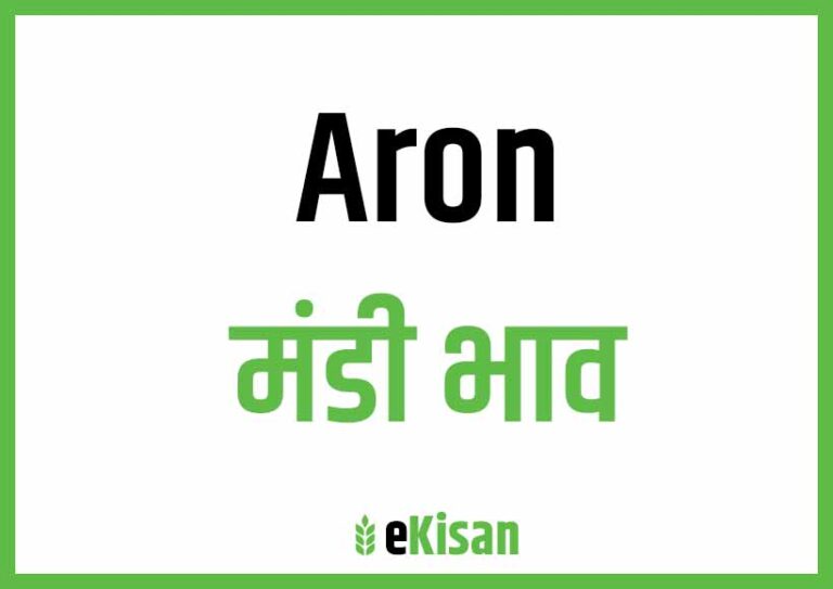 Aron Mandi Bhav आरोन मंडी भाव