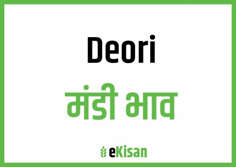 Deori Mandi Bhav देवरी मंडी भाव