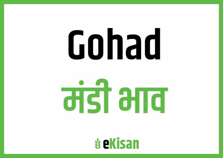 Gohad Mandi Bhav गोहद मंडी भाव