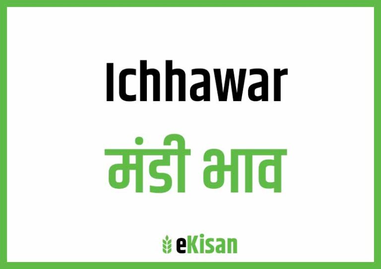 Ichhawar Mandi Bhav इछावर मंडी भाव