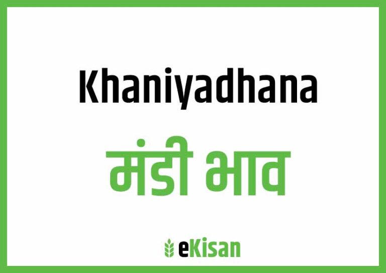 Khaniyadhana Mandi Bhav खनियाधाना मंडी भाव