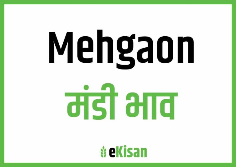 Mehgaon Mandi Bhav मेहगांव मंडी भाव