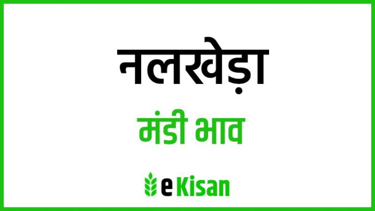 Nalkheda Mandi Bhav नलखेड़ा मंडी भाव
