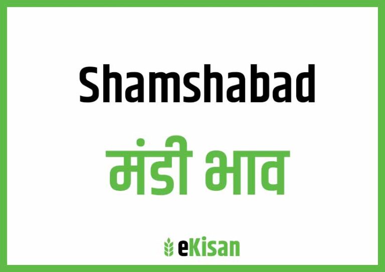 Shamshabad Mandi Bhav शमशाबाद मंडी भाव