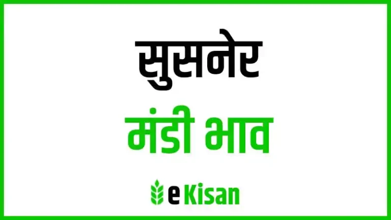 Susner Mandi Bhav सुसनेर मंडी भाव