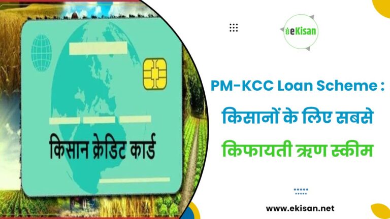 PM-KCC Loan Scheme : किसानों के लिए सबसे किफायती ऋण स्कीम