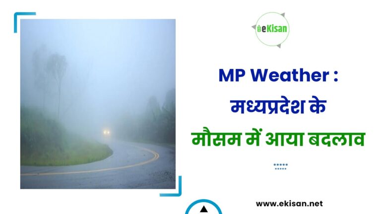 MP Weather : मध्यप्रदेश के मौसम में आया बदलाव