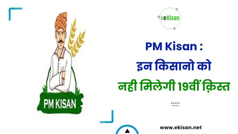 PM Kisan : इन किसानो को नही मिलेगी 19वीं क़िस्त