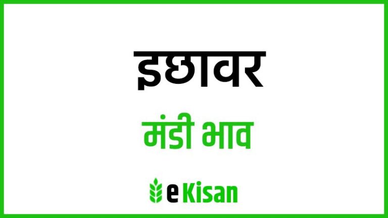 Ichhawar Mandi Bhav इछावर मंडी भाव