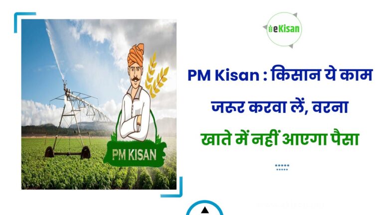 PM Kisan : किसान ये काम जरूर करवा लें, वरना खाते में नहीं आएगा पैसा