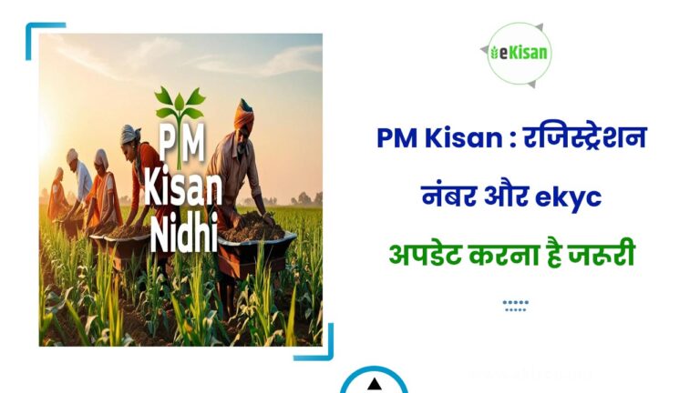 PM Kisan : रजिस्ट्रेशन नंबर और ekyc अपडेट करना है जरूरी