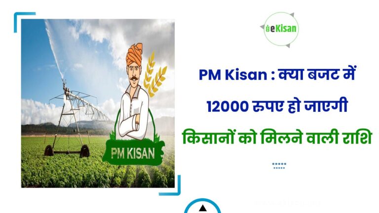 PM Kisan : क्या बजट में 12000 रुपए हो जाएगी किसानों को मिलने वाली राशि