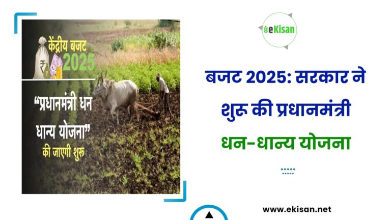 बजट 2025: सरकार ने शुरू की प्रधानमंत्री धन-धान्य योजना