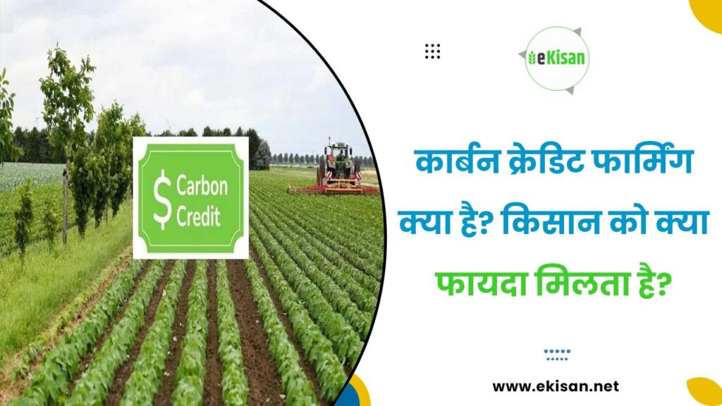 कार्बन क्रेडिट फार्मिंग क्या है? किसान को क्या फायदा मिलता है? - ekisan