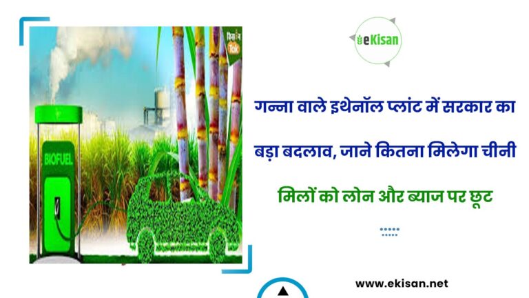 गन्ना वाले इथेनॉल प्लांट में सरकार का बड़ा बदलाव, जाने कितना मिलेगा चीनी मिलों को लोन और ब्याज पर छूट