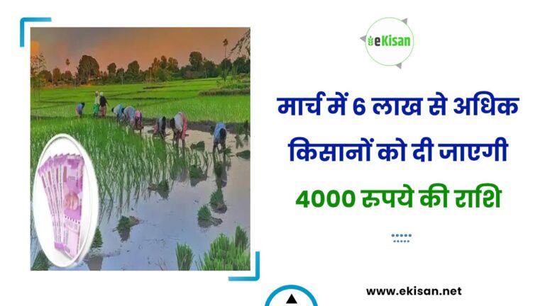 मार्च में 6 लाख से अधिक किसानों को दी जाएगी 4000 रुपये की राशि