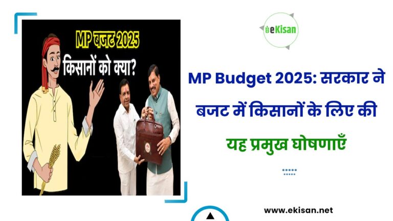 MP Budget 2025: सरकार ने बजट में किसानों के लिए की यह प्रमुख घोषणाएँ