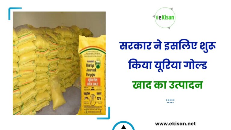 सरकार ने इसलिए शुरू किया यूरिया गोल्ड खाद का उत्पादन